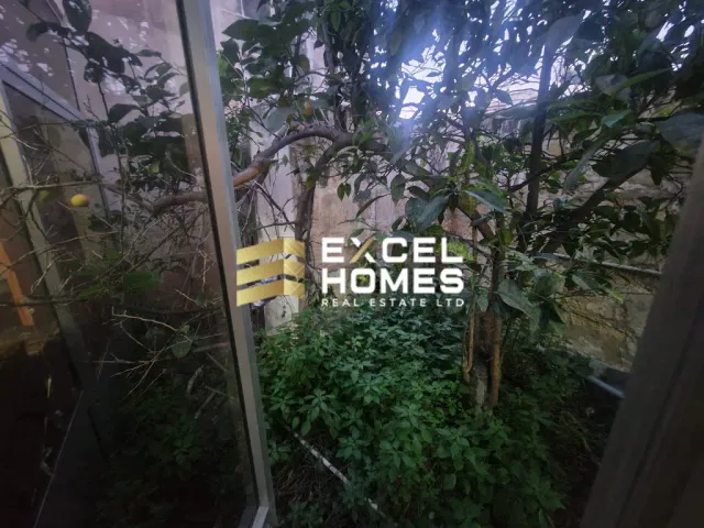 a window with a plant growing in it