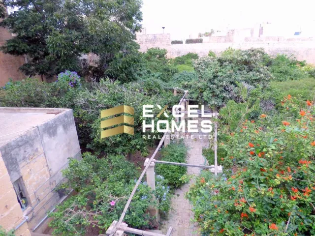 a street scene with a couple of trees