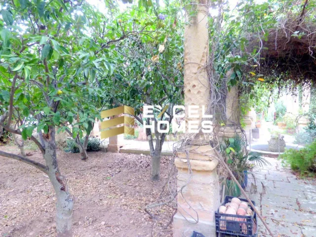 a fire hydrant in front of a tree