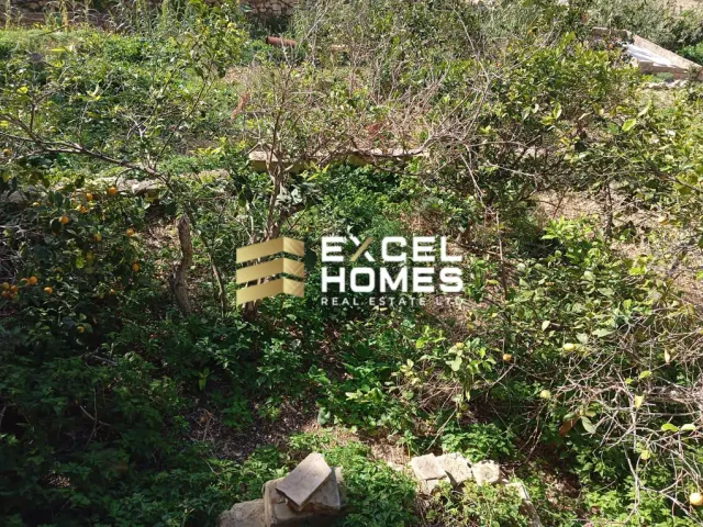 a sign that says "no trespassing" on a tree