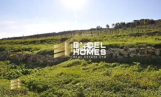 Недвижимость в Mġarr