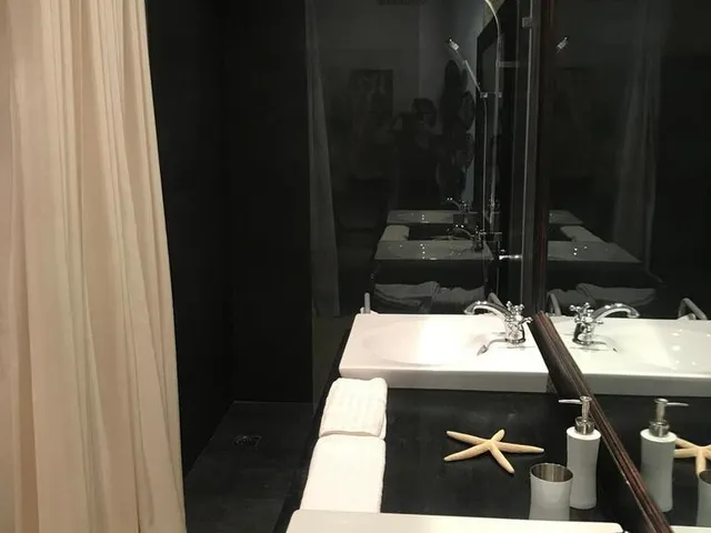 a sink with a mirror and a towel hanging on the wall